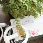 Polina 植物燈